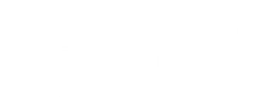 Frontier Audio